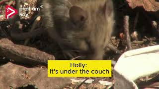 DAY 12 - A MOUSE IN THE HOUSE