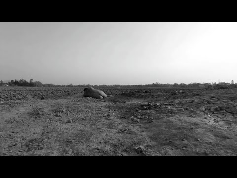 Meewakching - Matam, Asengba amasung Sasinba (Official Video)