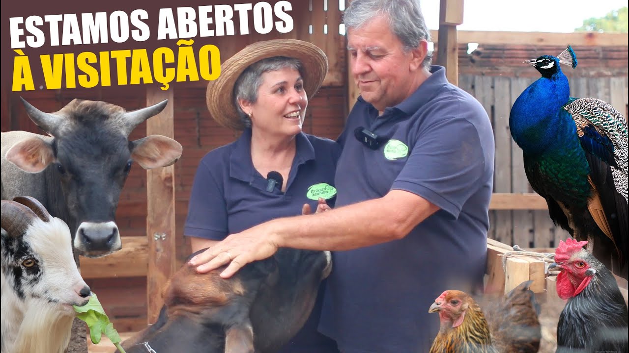 SISTEMINHA EMBRAPA EM CHÁCARA DE 3000m2