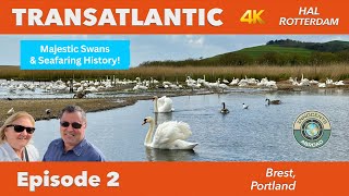 Abbotsbury Swannery & Brest Maritime History  | Transatlantic Vlog Ep 2 | Holland America