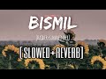 Bismil Haider Slowed Reverb Sukhwinder Singh