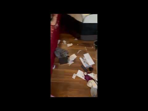 Honest House Cleaning Services video.