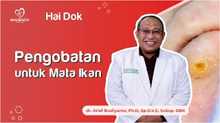 Download lagu Kapur & bawang putih untuk hilangkan mata ikan, aman nggak Sih? - HAI DOK mp3 Download lagu Kapur & bawang putih untuk hilangkan mata ikan, aman nggak Sih? - HAI DOK mp3