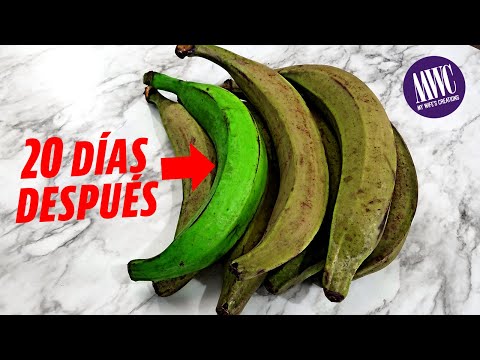 KEEP YOUR GREEN BANANAS IN THEIR NATURAL STATE FOR LONGER