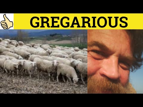 Define Gregarious
