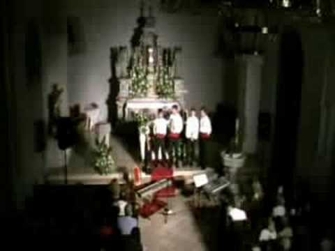 Vela Luka Koncert cvis-a Dominik - Klapa Proćulić