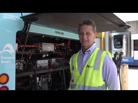 Electric Buses in Sydney