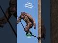 Climbing Jambo The HairlessChimp Shorts