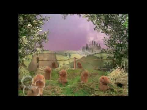 Muppet Songs: Man Smart, Critters Smarter