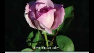 Butterfly Kisses - Bob Carlisle - music video with lyrics (Beautiful butterfly kisses images)