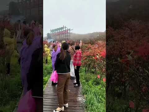 May your road ahead be filled with bright friends and the mountains and fields are filled with azal