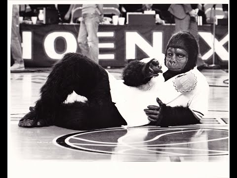 Meet the Original Phoenix Suns Gorilla