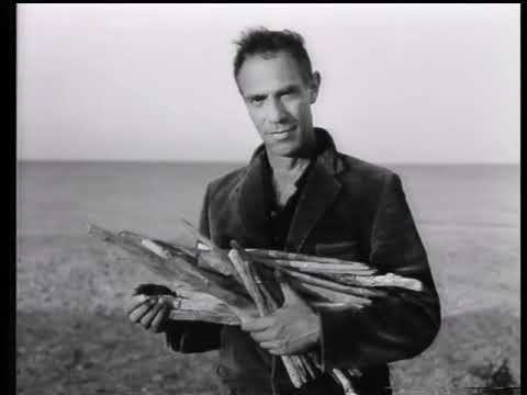 Derek Jarman's garden