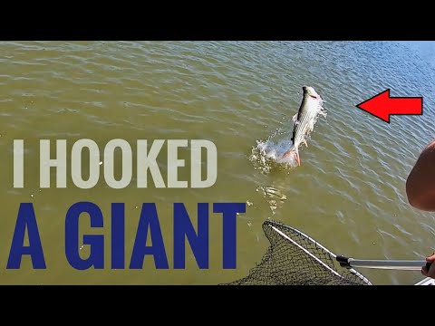 I Hooked a Monster! - Hunt for a Giant Tiger Fish Episode 1