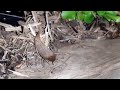 Thomas And Friends Season 1 Episode 25 Down The Mine Scene Remake Bloopers