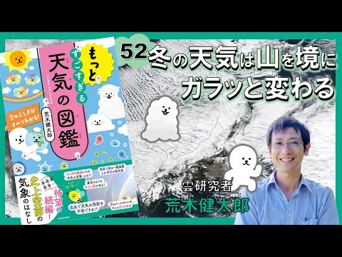 冬になるとトゥジャが茶色になるのはなぜですか?原因と解決策は何ですか?  庭園