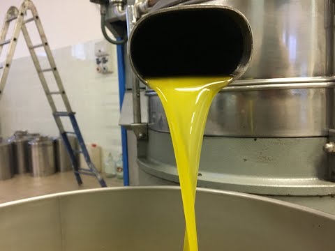 Pennello rosso per la potenza Leffetto sulla potenza del bergamotto