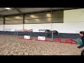 Cavalla Cavallo da Sport Irlandese In vendita 2019 Souris