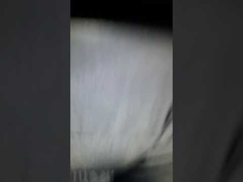 Spongebozz tötet PA Sports & Kollegah mit JULIENSBLOG!