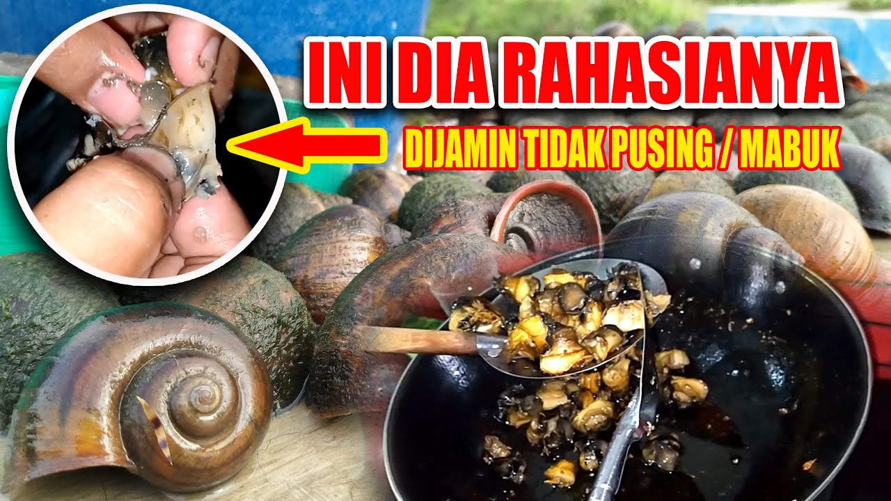 Putar video Cara Memasak Keong Sawah Agar Tidak Beracun Cara Memasak Keong Sawah Agar Tidak Beracun
