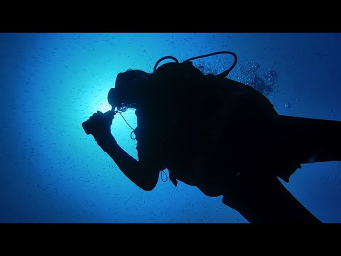 Diving in Ustica - 2020