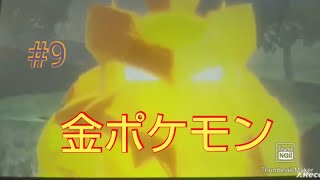 キング暴走！好物ポイポイ試合開幕！part9【ポケモンレジェンズアルセウス】