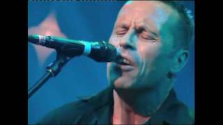 Mark Seymour - True Tears Of Joy