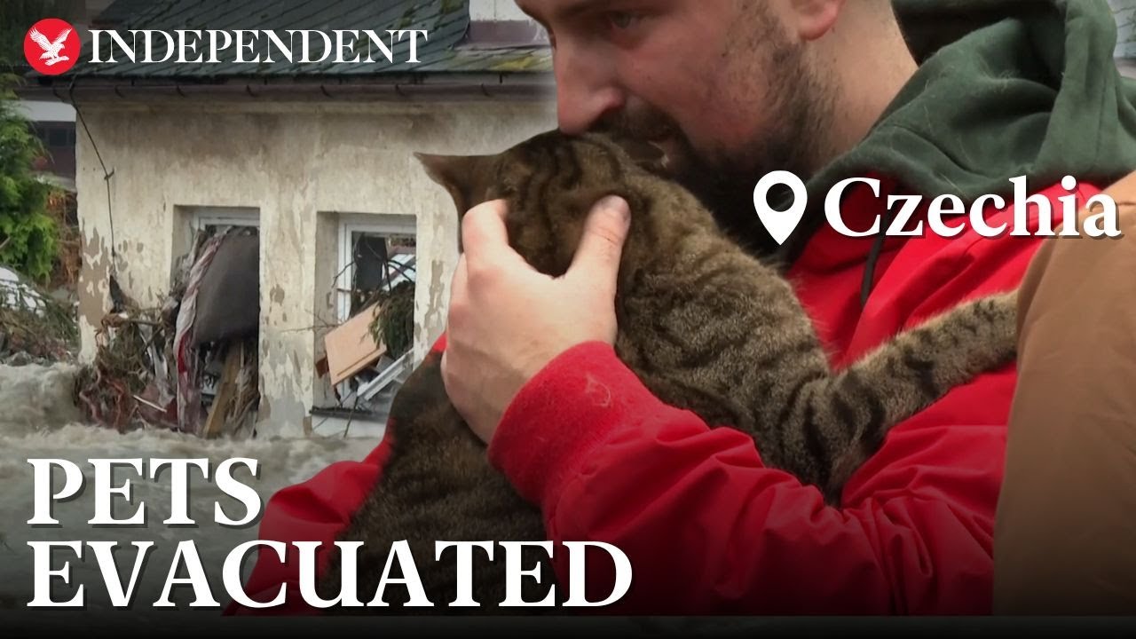 Firefighters evacuate residents with their cats and dogs as mass flooding hits Czechia
