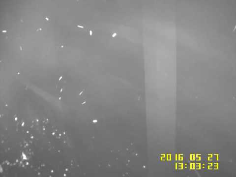 Reckless Endangerment on 62nd Ave