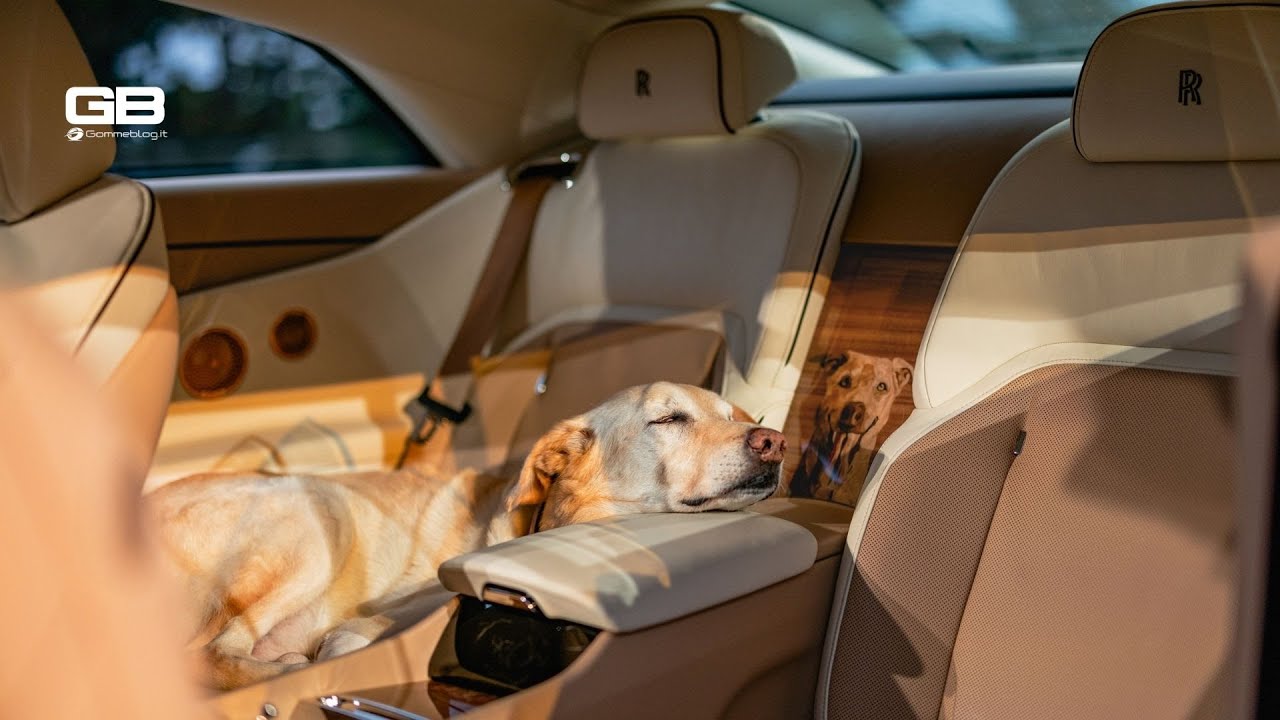 When Opulence Meets Affection: Rolls-Royce Creates the Spectre Bailey in Homage to a Beloved Pet