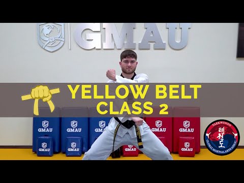Taekwondo Follow Along Class - Yellow Belt - Class #2 thumbnail