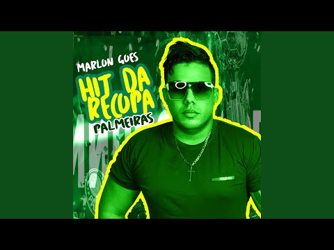 HIT DA RECOPA PALMEIRAS