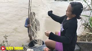 Download lagu Anak Dayak Panen Ikan Saluang di Pinggiran Sungai Katingan, wilayah Desa Buntut Bali. mp3