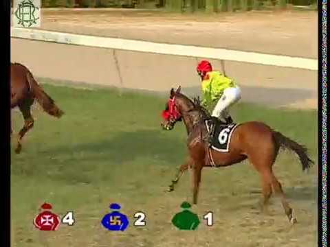 The Artillery Cup WINNER:LIGHTNING BOLT