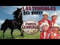 Los Terribles Del Norte - Puros Corridos! (Playlist Oficial)