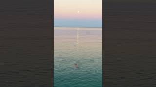 A full moon morning in the Southern Hemisphere.