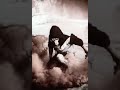 Dan Lellis feat Lucas Lucco novo Hit Bagaceira (video pra status) Dan Lellis feat Lucas Lucco novo Hit Bagaceira (video pra status)