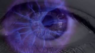 The Monochrome Set - "Mrs Robot"