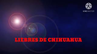 grupo laberinto liebres de Chihuahua karaoke