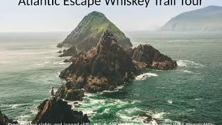 Irish Tour Suite | Whiskey Business