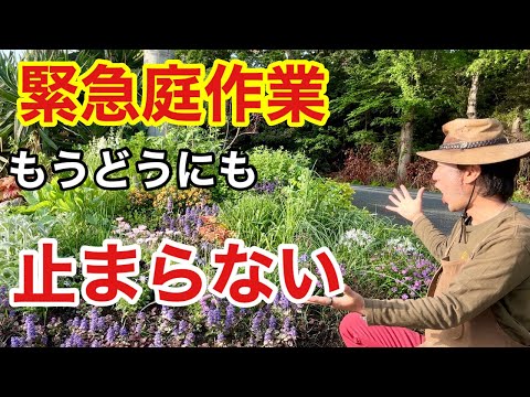 春に向けてテラスを準備する方法 階段を修理する きれいにする 飾る