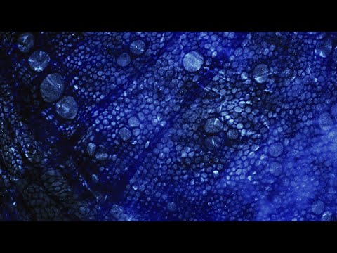 Visceral Design, TakT - Scientific Emotions x Attraction