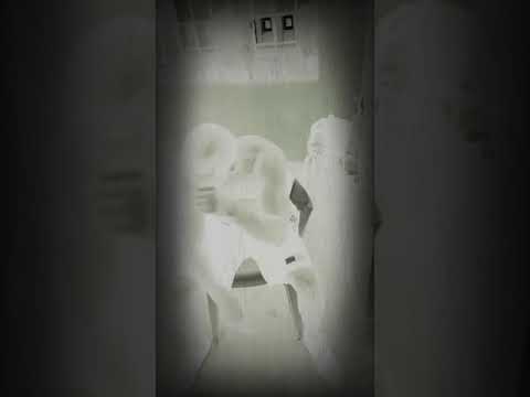 Don kappo kappeta official "lucifer"(brevemente som completo)