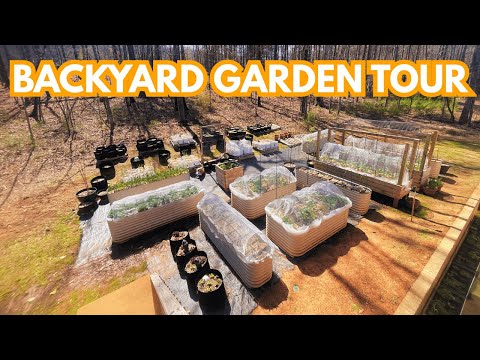 Garden Tour and Harvest | Spring is Around the Corner!! Get Ready!! (Week 4) March 2025