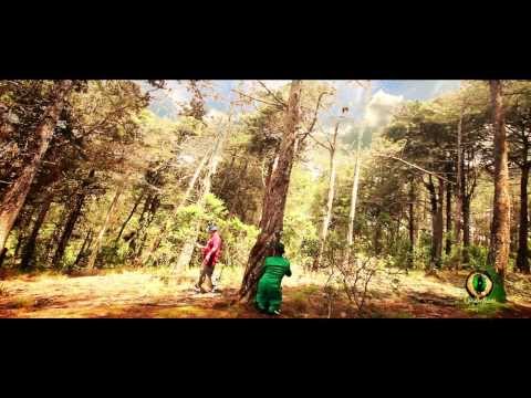 El Duende - Ñejo ft Providencia (Video Oficial)