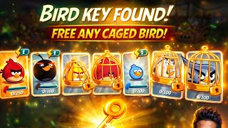 New Bird Unlocked 🐦 | Angry Birds Gameplay