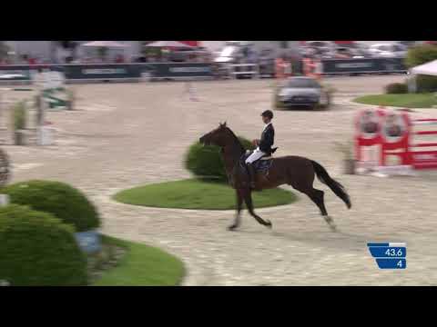 Chacco Me Biolley- CSI4_ - Grand Prix Table A with jump-off - 1.55m (LR) - Sentower