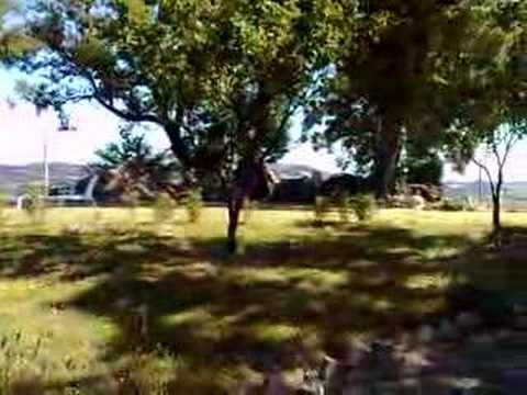 Summer day, Amandola, Italy