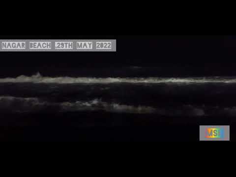 Basant Nagar beach(1)