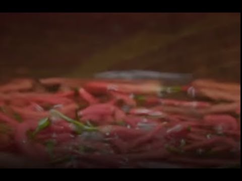 Picles de Sichuan: